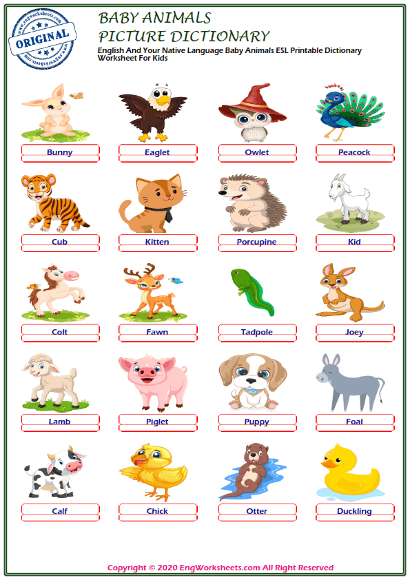 Baby Animals Printable English ESL Vocabulary Worksheets - EngWorksheets