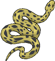 Snake