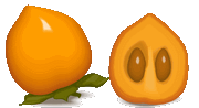 Persimmon