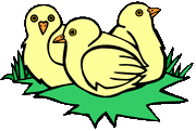 Chicks